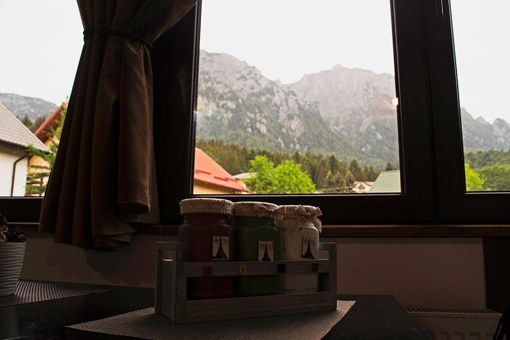 Apartament Mountain Life بوستين المظهر الخارجي الصورة