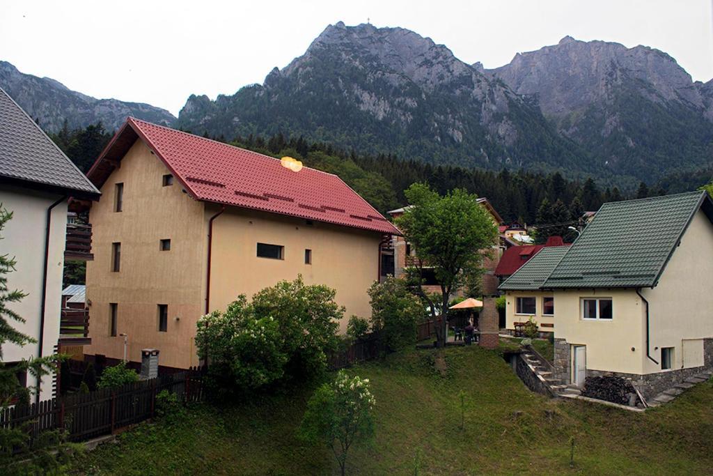 Apartament Mountain Life بوستين المظهر الخارجي الصورة